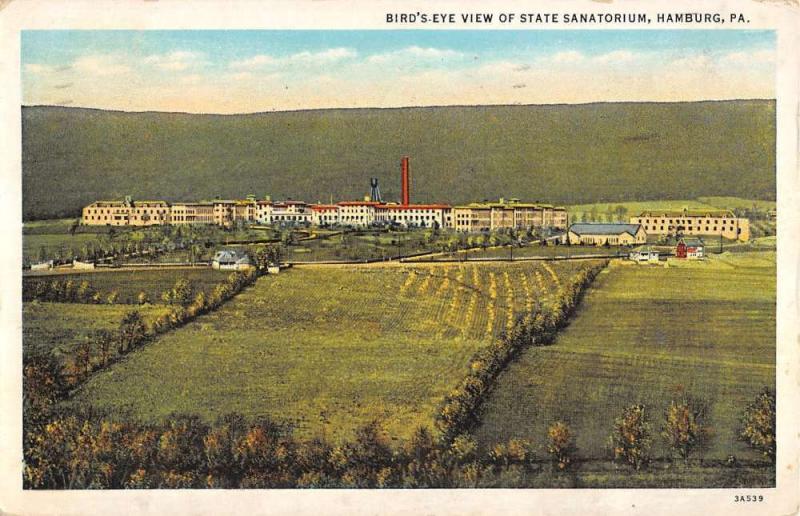 Hamburg Pennsylvania Birdseye View State Sanatorium Antique Postcard K15247