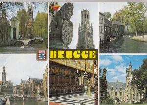 BF24200 brugge l belgium  front/back image