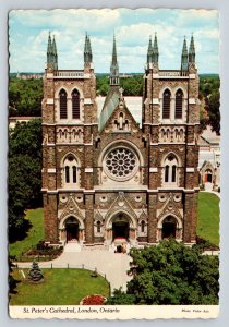 c1981 St Peter's Cathedral London Ontario Canada 4x6 VINTAGE Postcard 0249
