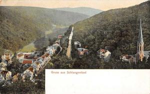 Schlangenbad Germany Birds Eye View Gruss aus Antique Postcard J66274