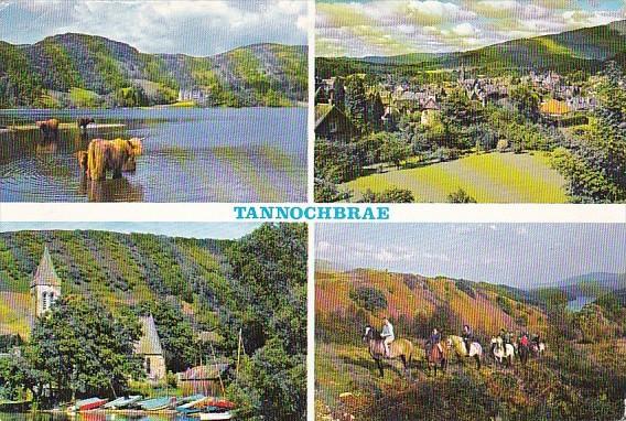 Scotland Fife Tannochbrae Multi View