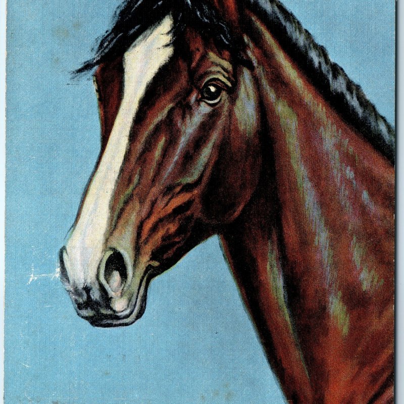 c1940s Horse Art Illustration Just A Pal Linen PC by L.H. Dude Larsen A330