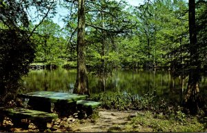 Louisiana Lake Providence State Park Picnic & Recreation Hall On Banks Of Ten...