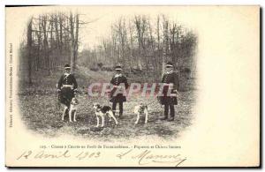 Old Postcard Hunting hounds in a Forest of Fontainebleau Biting dogs and houn...