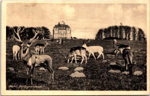 Denmark Aarhus Fra Den Gamle By Vintage Postcard C021