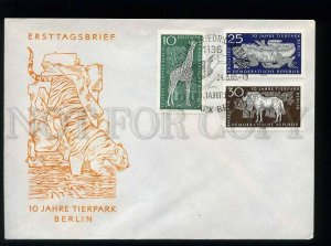 210436 GERMANY DDR 10 year BERLIN ZOO animals TIGER 1965 year