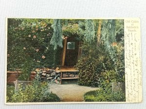 Vintage Postcard 1910's Old Cabin at Baldwin's Ranch CA California