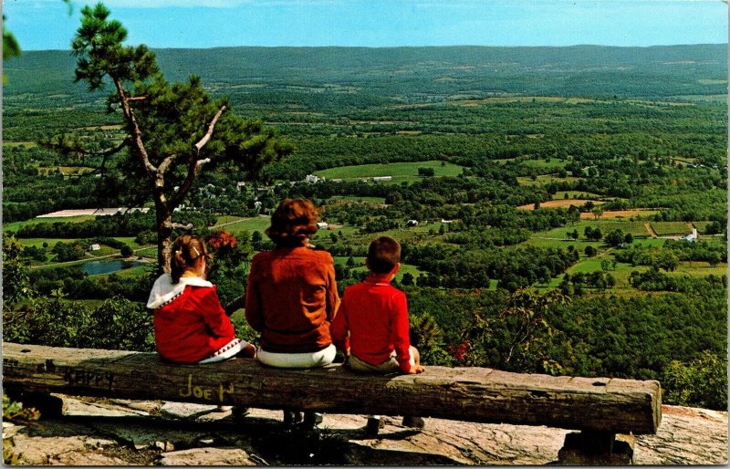 Lookout Atop Sunrise Mountain Stokes State Forest Sussex County NJ VTG Postcard 