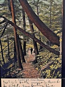 Postcard  1906 View of a lonely path in The Orange Mountains.  W3