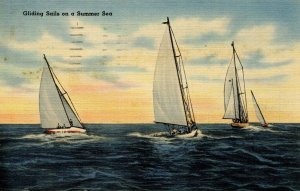 Gliding Sails on a Summer Sea