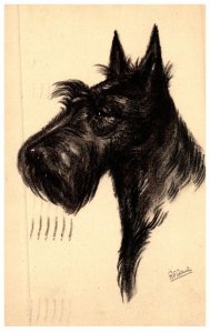 Dog , Scotch Terrier , artist signed