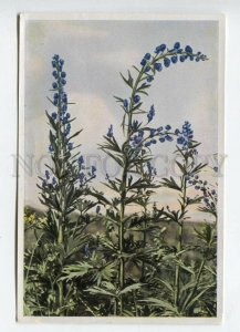 427993 Flower Aconitum Napellus Vintage Sammelwerk Tobacco Card w/ ADVERTISING