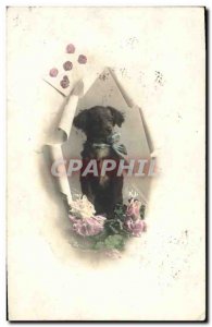 Old Postcard Dog Dogs