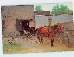 Postcard Horse and Buggy Parking Lot Goshen Indiana USA