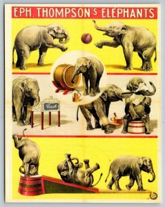 Eph. Thompson's Elephants  Circus  Replica  Poster  Postcard