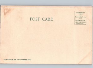 c1905 Semet Solvay Coke Ovens Lebanon Pennsylvania PA Albertype UDB Undivided