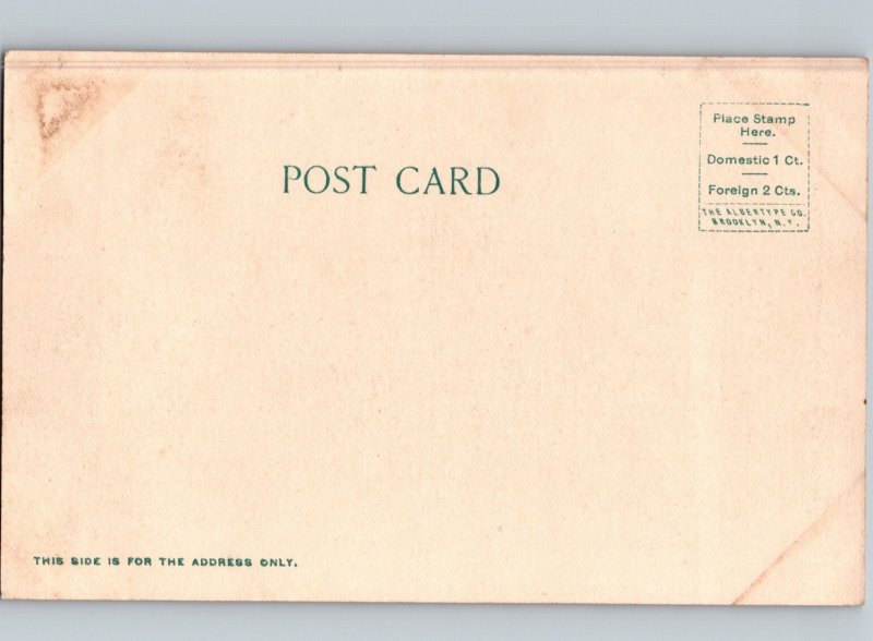 c1905 Semet Solvay Coke Ovens Lebanon Pennsylvania PA Albertype UDB Undivided