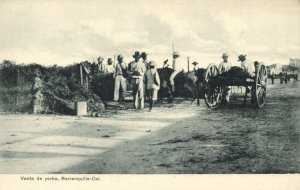 colombia, BARRANQUILLA, Venta de Yerba (1910s) Postcard