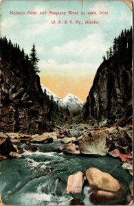 Postcard AK Hobson Peak & Skagway River Seen from W.P. & Yukon Railroad 1911 F24