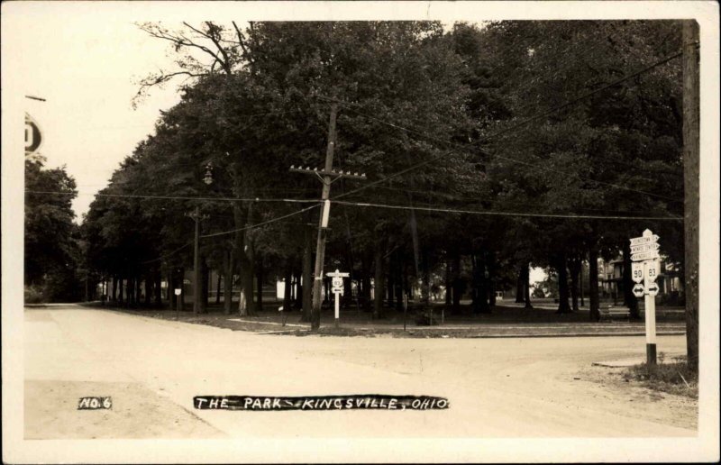 Kingsville Ohio OH The Park Real Photo Postcard