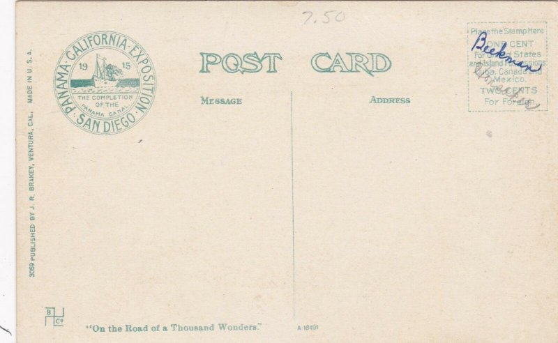 California Ventura Native Daughter's Palms sk3678