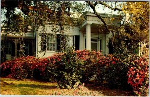 Postcard HOUSE SCENE Natchez Mississippi MS AK2531