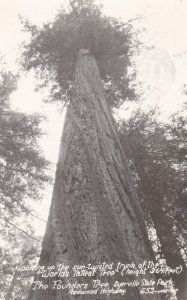 California Redwood Highway Dyerville State Park The Founders Tree 1949 Real P...