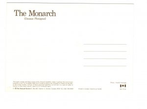 5 X 7 The Monarch Butterfly Postcard