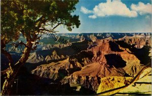 Grand Canyon National Park Arizona Postcard PC344