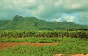 The Island of Kauai Hawaii, The Sleeping Giant Mountain Ridge, Vintage Postcard