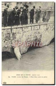 Old Postcard Bear Crue of the Seine January 1910 Paris Garden plants L & # ta...