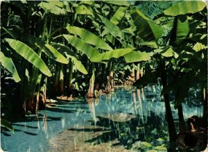 CPA AK Miyazaki JAPAN (677099)