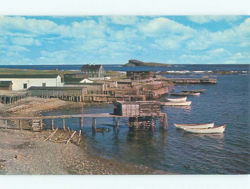 Pre-1980 BOAT SCENE Ferryland - Near Aquaforte Newfoundland NL AF3421