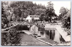 Fish Hatchery Bonneville Of Columbia River Highway Oregon RPPC Photo Postcard