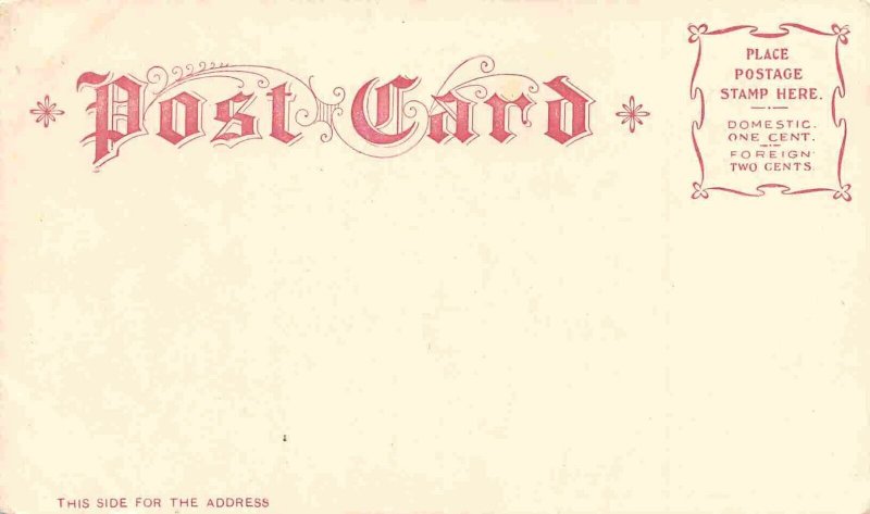 US Capitol Botanical Garden Washington DC 1905c postcard