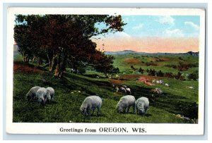 c1920's Sheep, Mountain, Grass Trees, Greetings from Oregon WI Postcard