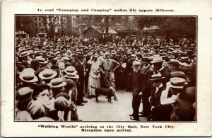 Postcard NY New York Walking Woolfs at the City Hall Reception C.1905 M24