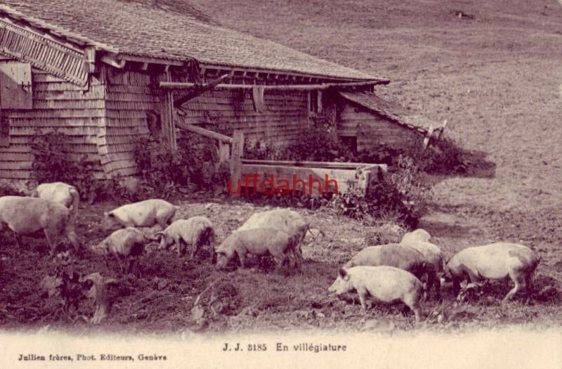 J. J. 3185 EN VILLEGIATURE, Jullien freres, Phot. Editeurs, Geneve