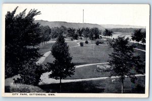 Guttenberg Iowa IA Postcard View Of City Garden Park Tree Lined Mountain Scene