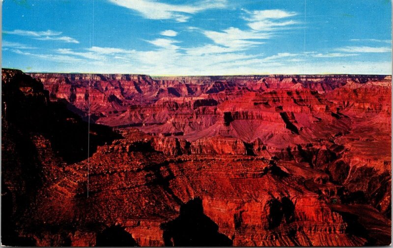 Grand Canyon National Park Arizona AZ Postcard UNP VTG Fred Harvey Unused 