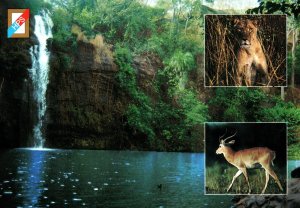 VINTAGE CONTINENTAL SIZE POSTCARD THE CASCADES & WILDLIFE AT KPALIME TOGO AFRICA