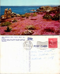 Shoreline Drive, Pacific Grove, Calif. (24917