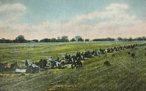 A Kansas Wheat Field Postcard People Workers Equipment Field Hands