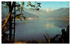 Postcard DAM SCENE Vancouver British Columbia BC AQ5139