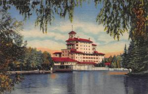 Vista of the Broadmoor Hotel, Pike's Peak Region, CO, Early Postcard, Unused