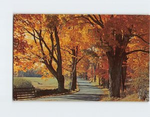 Postcard The flaming foliage colors, Vermont