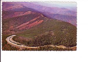 Eagle Eye View, Clingmans Dome, Great Smoky Mountains National Park, Forney R...