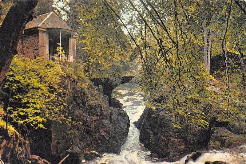 uk45061 hermitage dunkeld perthshire scotland  uk