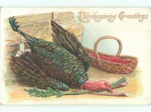 Divided-Back THANKSGIVING SCENE Great Postcard AA0534