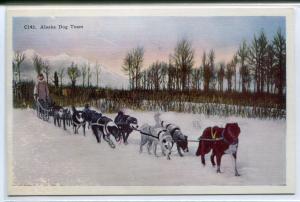 Dog Sled Team Alaska linen postcard